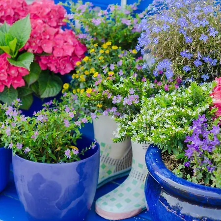 فندق Haffidyll Garni 3*